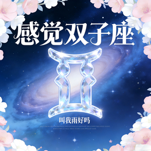 感觉双子座