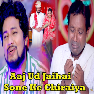 Aaj Ud Jaihai Sone Ke Chiraiya