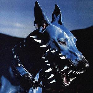 Pop Out (feat. RayAyy)