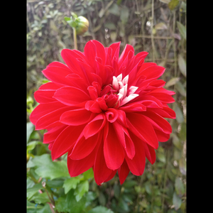 ইহকাল পরকাল গুরুত্বপূর্ণ আলোচনা