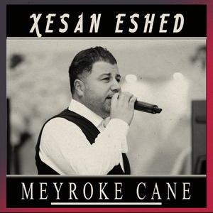 Meyroke Cane