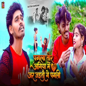 Pagla Tor Agiya Me Jar Jaitau Ge Pagali