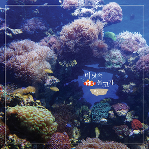 바닷 속 물고기