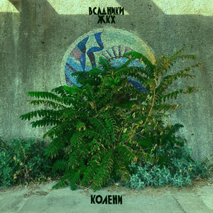 Морской гад