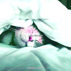 优美小猫器乐