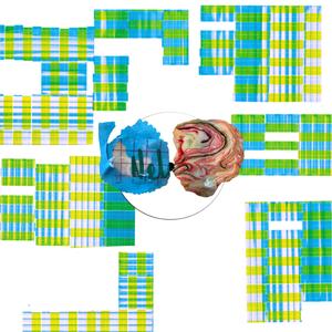 Cadence and Her Group