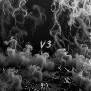 V3