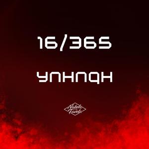 16/365 YNHNQH