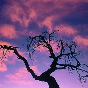 曾经很爱你（Prod by $tan）