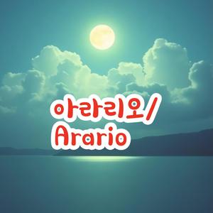 아라리오/Arario