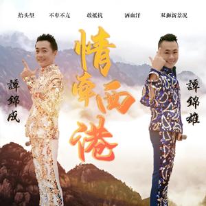 情牵西港