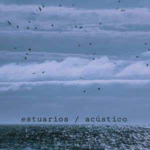 Estuarios (Acústico)