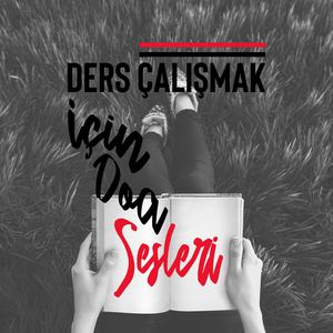 Şarkı Söyleyen Kuşlar ile Uyku