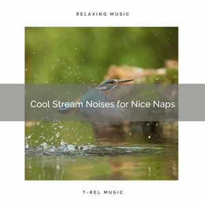 Soothing Sleep Wild Water Noises