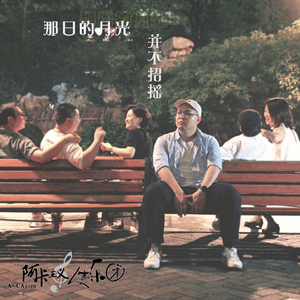 那日的月光并不招摇