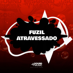 FUZIL ATRAVESSADO