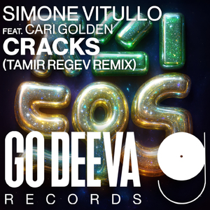 Cracks (Tamir Regev Remix)