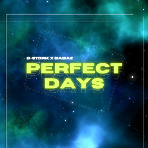 Perfect Days (Radio Mix)