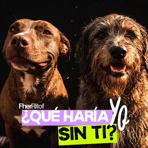 ¿Qué Haría yo Sin Ti?