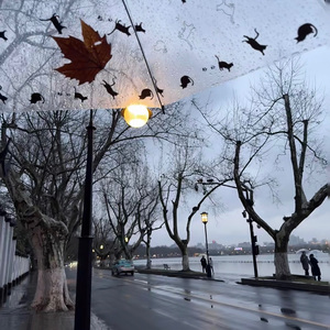 人生缓缓 自有答案