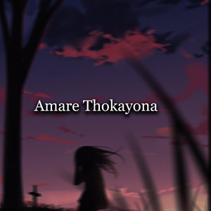 Amare Thokayona