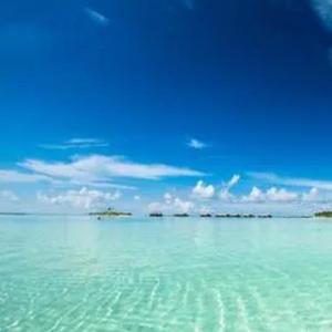 岁月静好生生欢颜