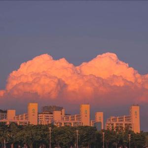 她是我的女友（Prod Trai5or&Ice CXLD）