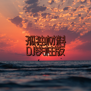 孤独材料（DJ铁柱版）