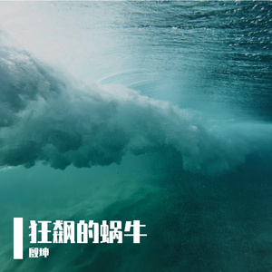 狂飙的蜗牛