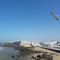 绝不放过你 (DJ版)