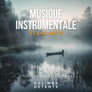 Incroyable musique new age