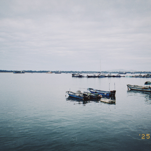 我的本命年#百万奖金AI创造大赛+主题一