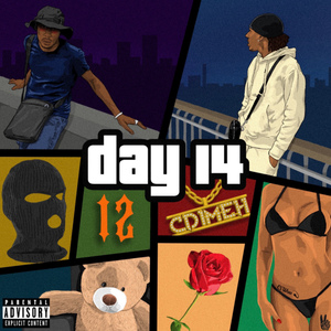 Day 14