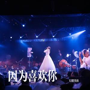 因为喜欢你