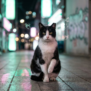 내 집사가 되라