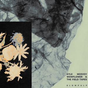 ‎‧₊˚✧ s l o w p u l p ✧˚₊‧