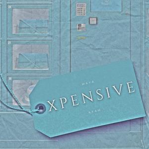 XPENSiVE