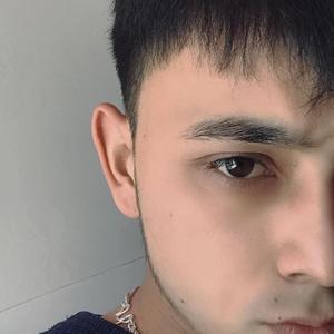 San Yoh Gulum （佳人不在）