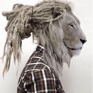 她来听我的演唱会