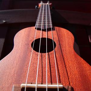 Easy Going Happy Fun