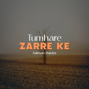 Tumhare Zarre Ke