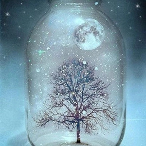 真相是假（Cover 阿鸣）