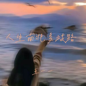 人生南北多歧路