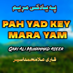 Sa Saesly Mashrani