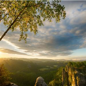 In the Early Morning