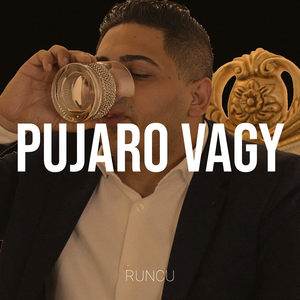 Pujaro Vagy