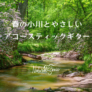 Ripples of Morning Light