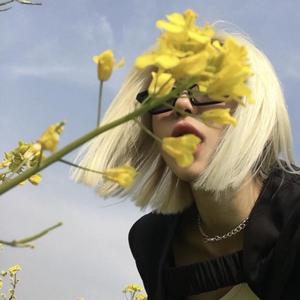 星茶会 - Tiệc Trà Sao