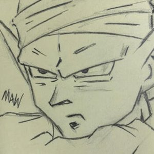 Not a Big Fan of the Government