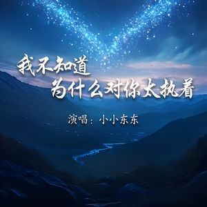 我不知道为什么对你太执着